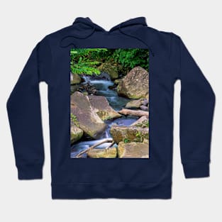 FOREST STREAM Hoodie